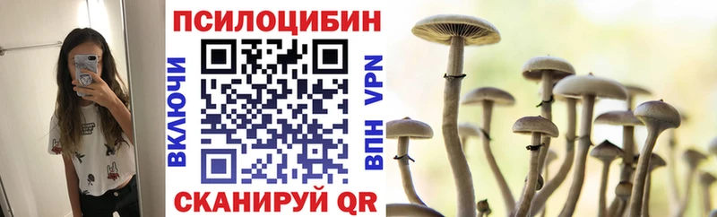 Галлюциногенные грибы Magic Shrooms  купить наркоту  Новопавловск 
