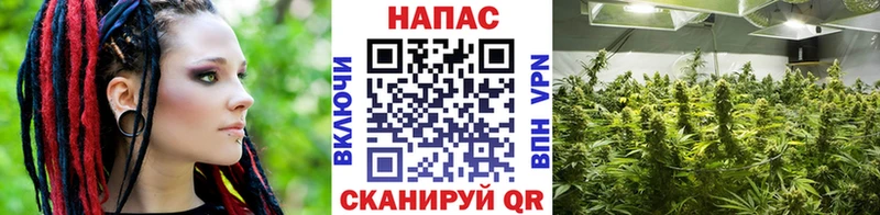 МАРИХУАНА план  Новопавловск 